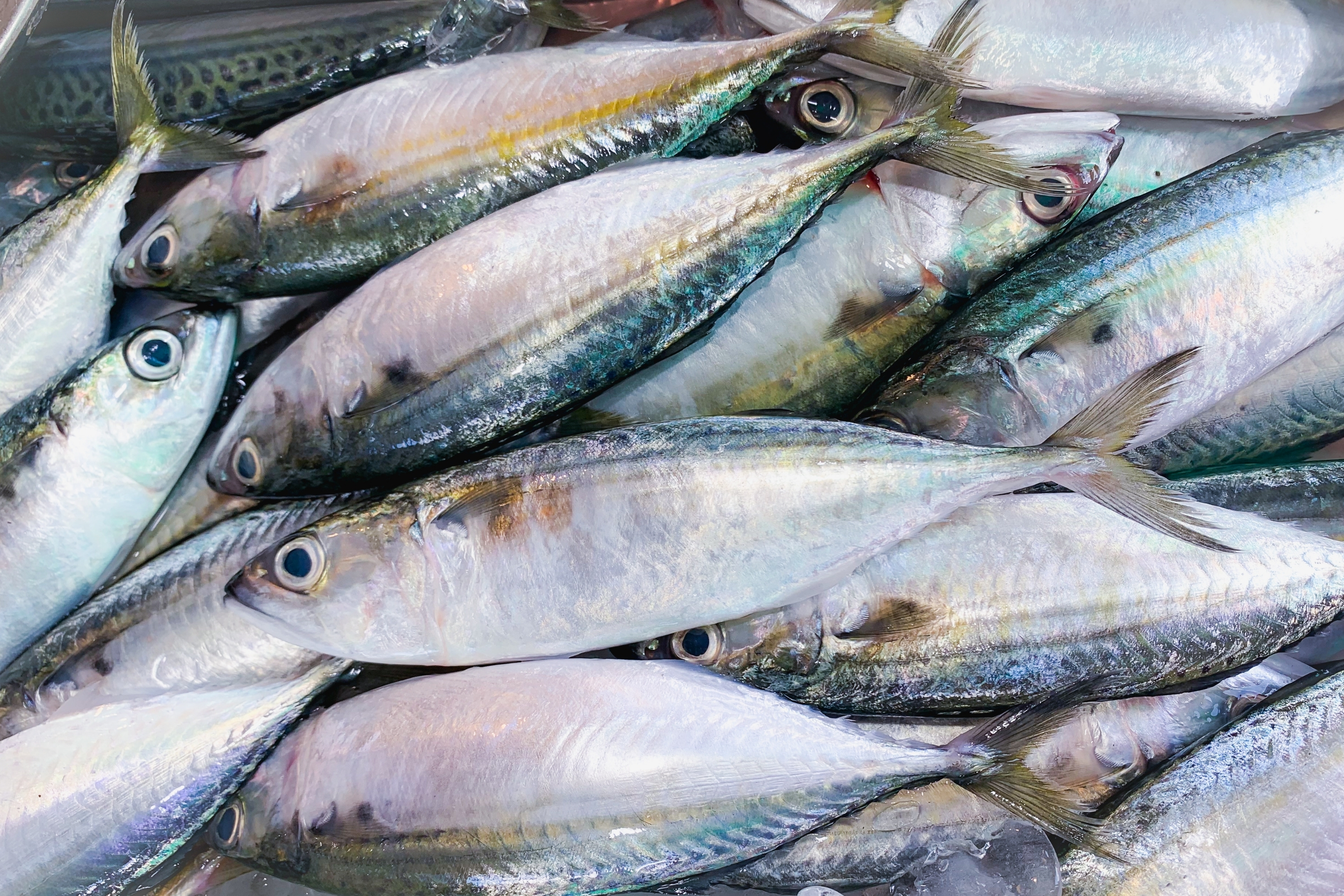 Produits frais de la mer